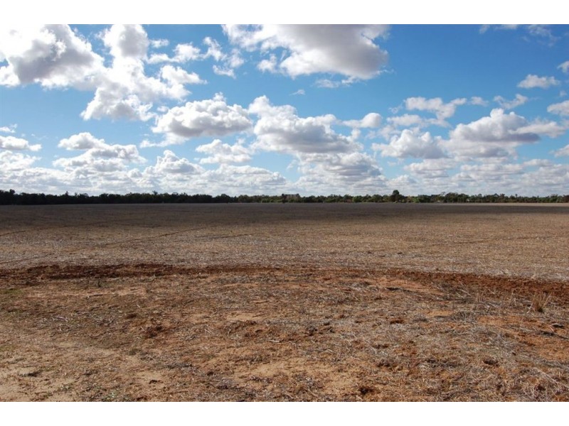 Racetrack Canola Way, Ganmain NSW 2702