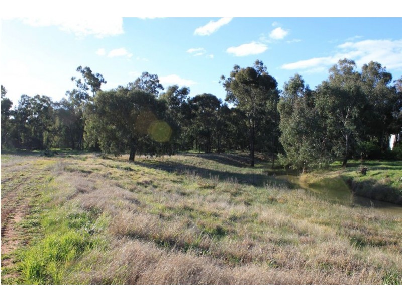 Racetrack Canola Way, Ganmain NSW 2702