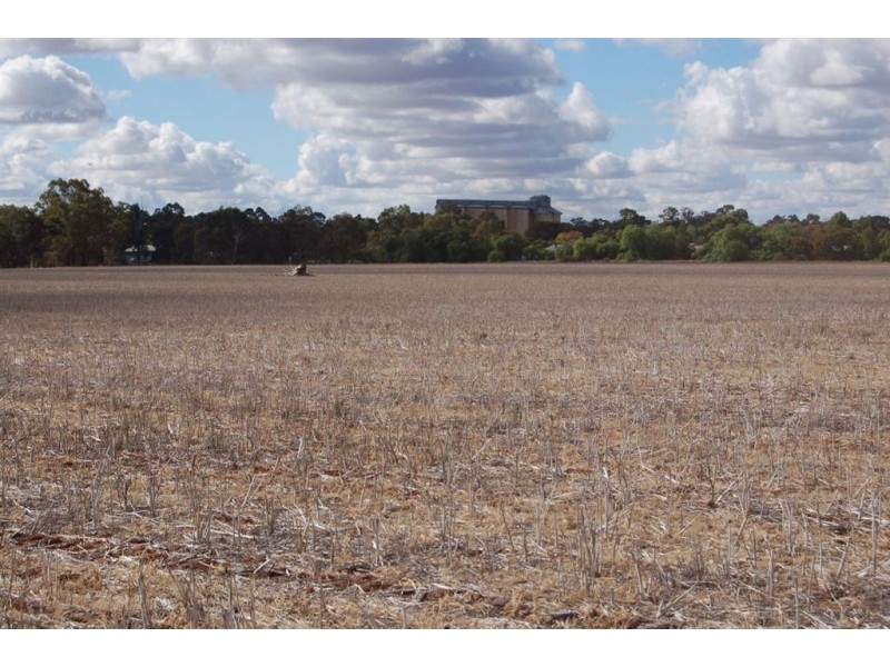 Racetrack Canola Way, Ganmain NSW 2702