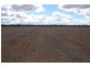 Racetrack Canola Way, Ganmain NSW 2702
