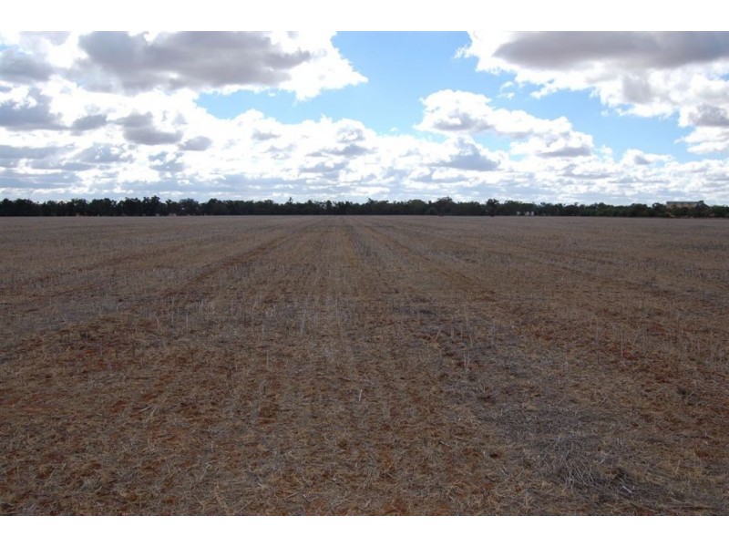 Racetrack Canola Way, Ganmain NSW 2702