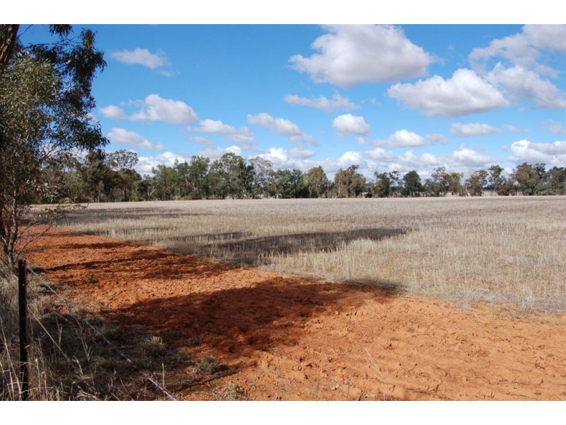 Racetrack Canola Way, Ganmain NSW 2702