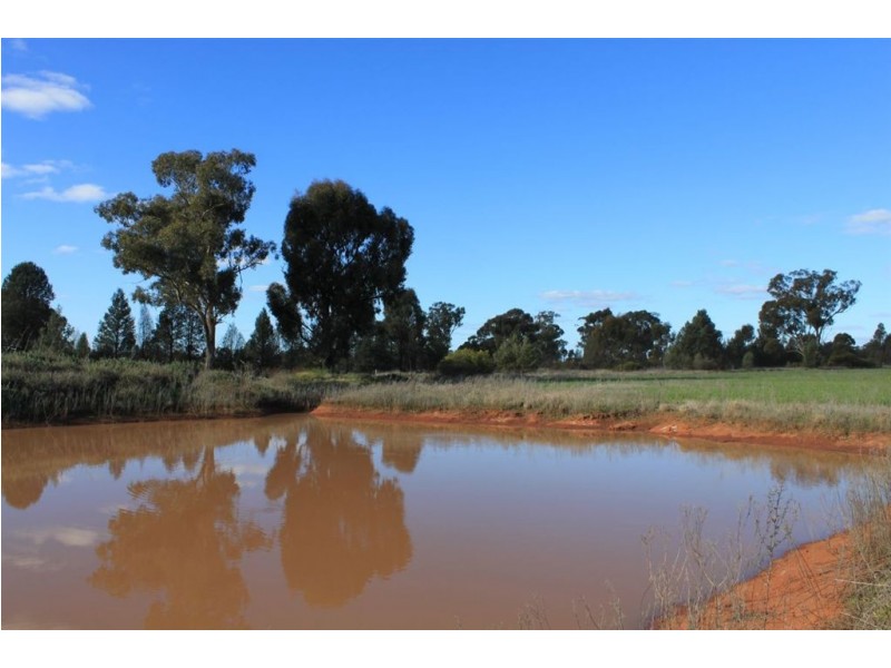 Carroll’s Canola Way, Ganmain NSW 2702