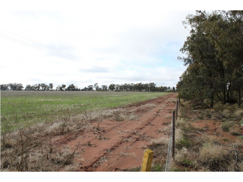 Carroll’s Canola Way, Ganmain NSW 2702
