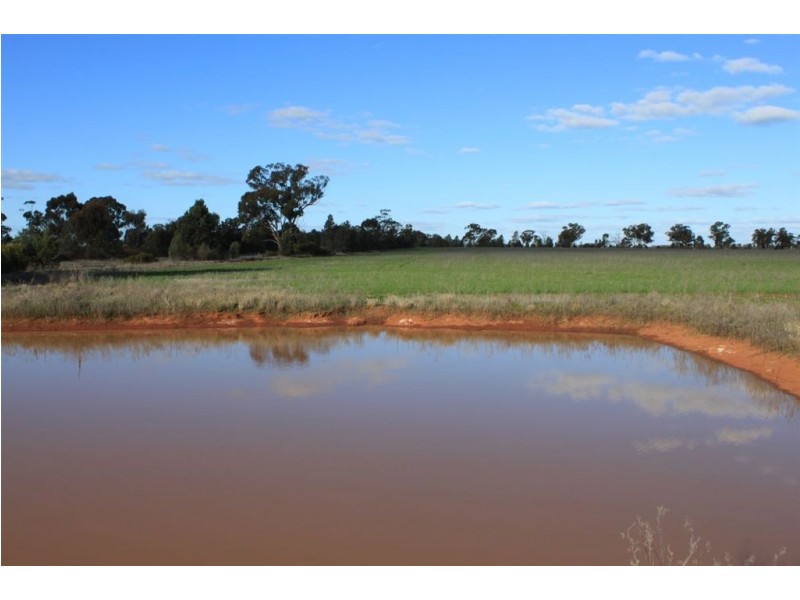 Carroll’s Canola Way, Ganmain NSW 2702