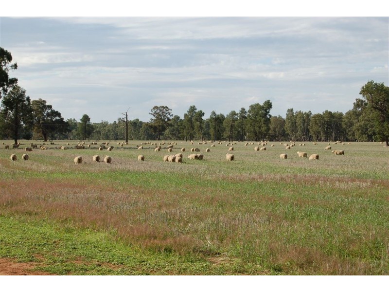 Berryjerry Station, 190 Berry Jerry Lane, Wagga Wagga NSW 2650