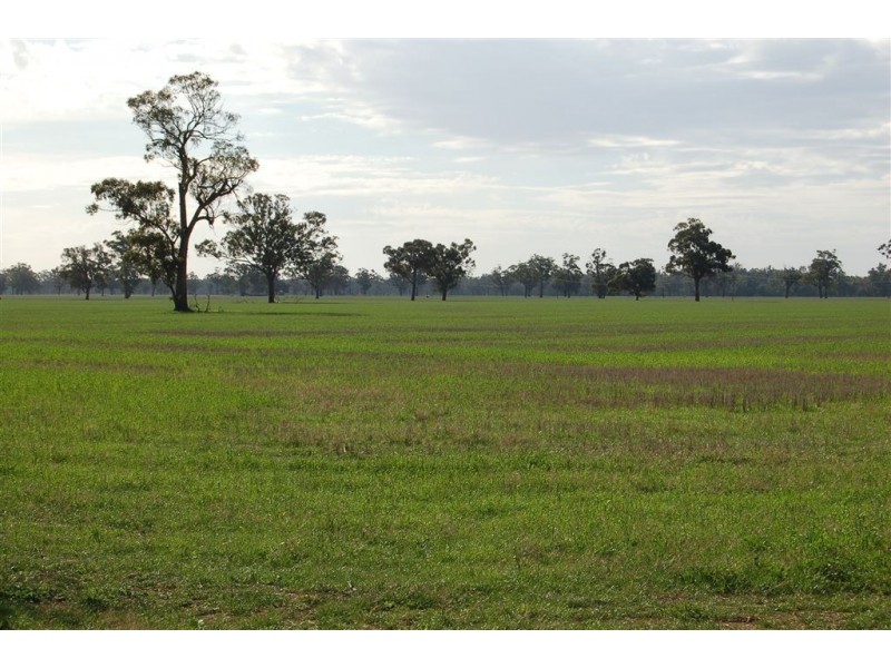 Berryjerry Station, 190 Berry Jerry Lane, Wagga Wagga NSW 2650