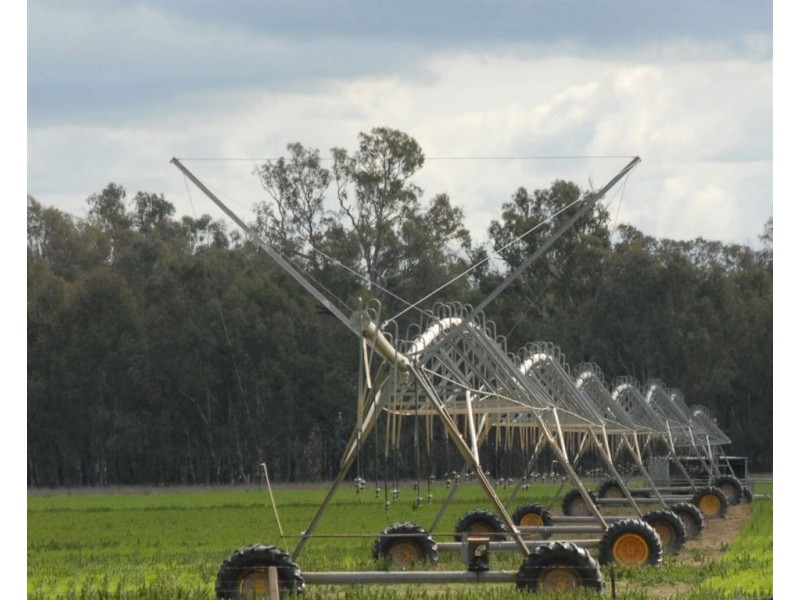 Berryjerry Station, 190 Berry Jerry Lane, Wagga Wagga NSW 2650