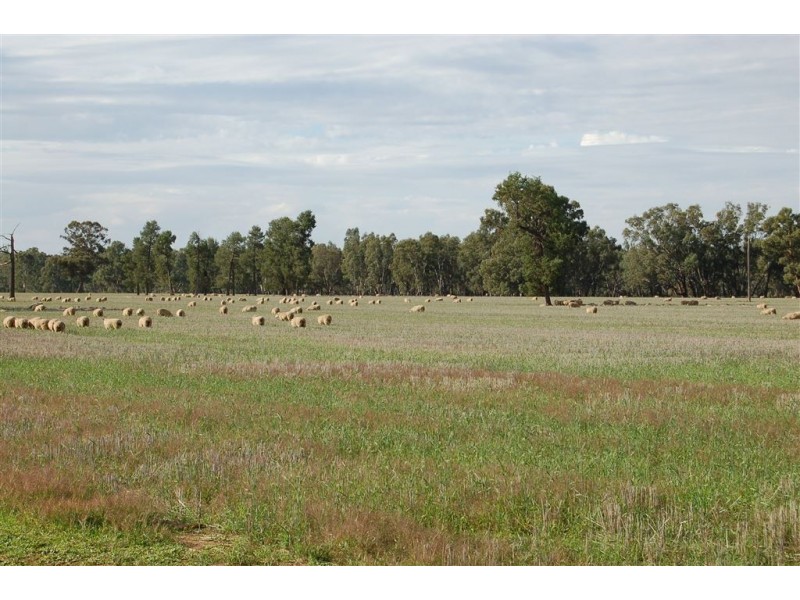 Berryjerry Station, 190 Berry Jerry Lane, Wagga Wagga NSW 2650
