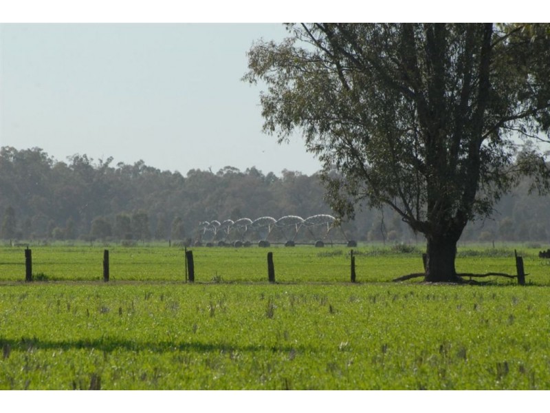 Berryjerry Station, 190 Berry Jerry Lane, Wagga Wagga NSW 2650