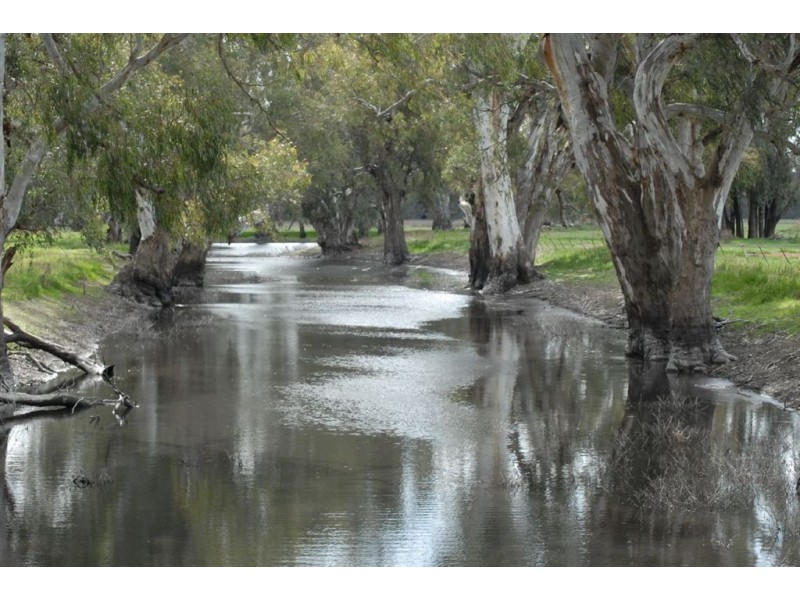 Berryjerry Station, 190 Berry Jerry Lane, Wagga Wagga NSW 2650