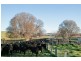 Gundagai NSW 2722