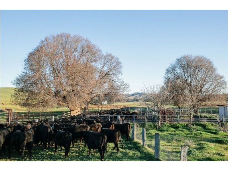 Gundagai NSW 2722