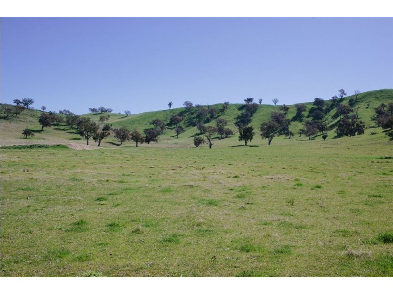Gundagai NSW 2722