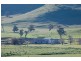 Gundagai NSW 2722