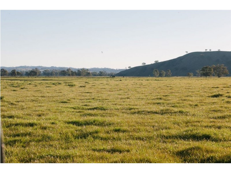 Gundagai NSW 2722