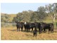 Gundagai NSW 2722