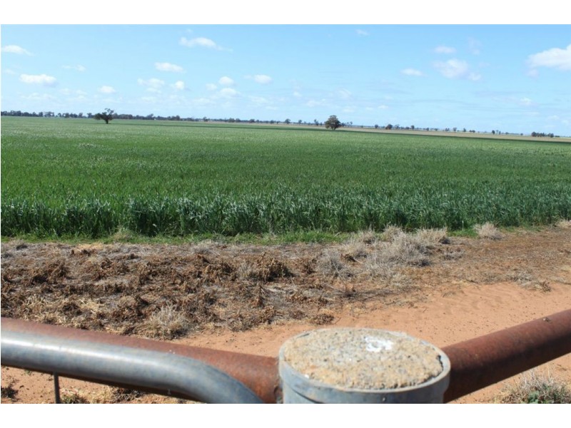 1190 Dullah Road, Coolamon NSW 2701