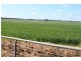 1190 Dullah Road, Coolamon NSW 2701