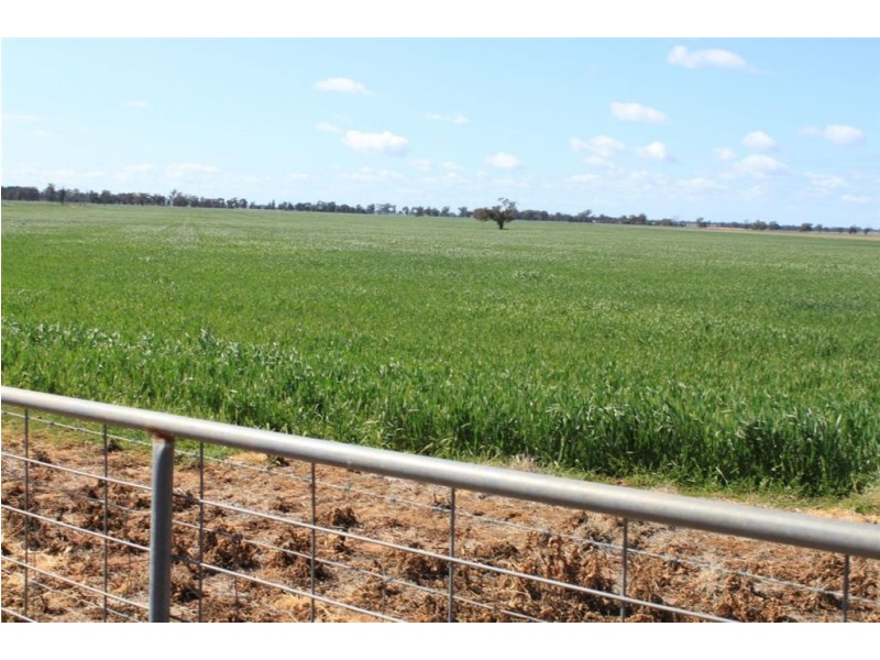 1190 Dullah Road, Coolamon NSW 2701