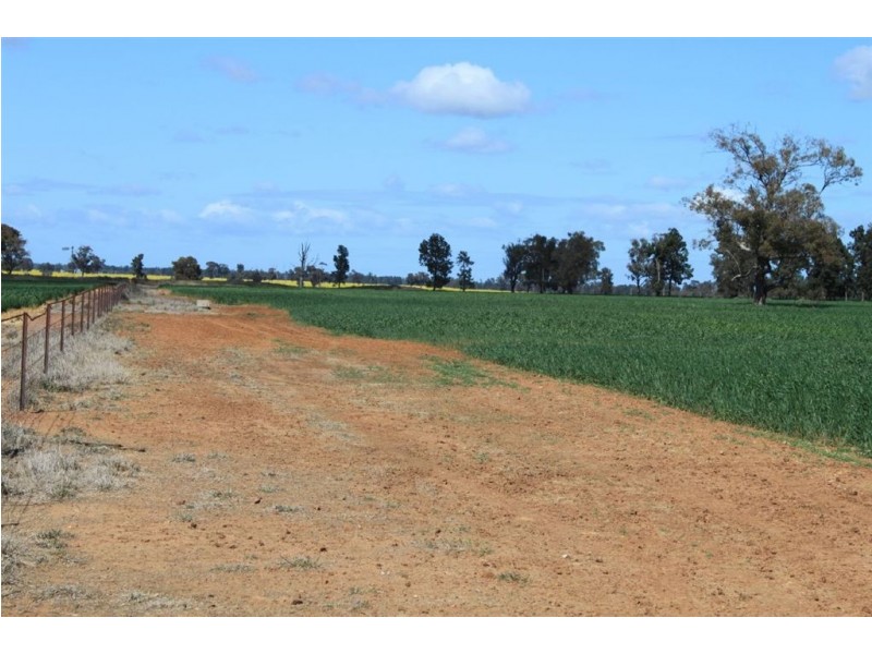 1190 Dullah Road, Coolamon NSW 2701