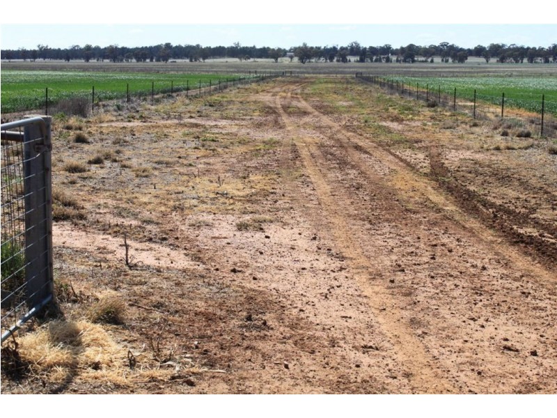 1190 Dullah Road, Coolamon NSW 2701