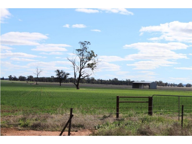 1190 Dullah Road, Coolamon NSW 2701