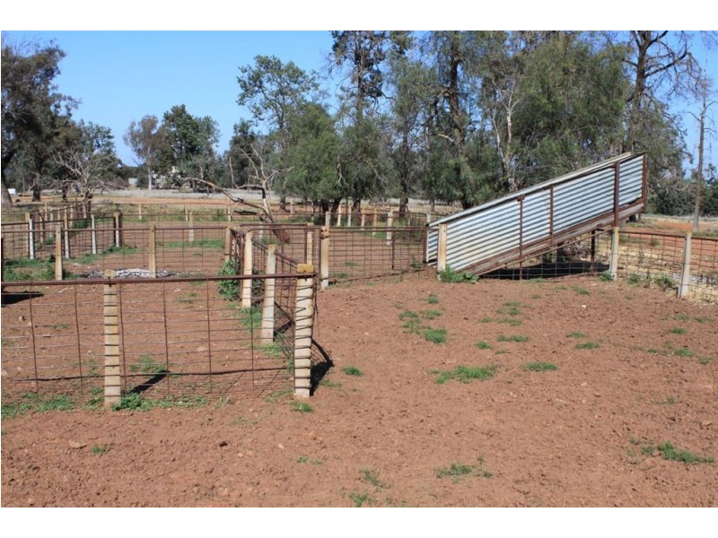 1190 Dullah Road, Coolamon NSW 2701