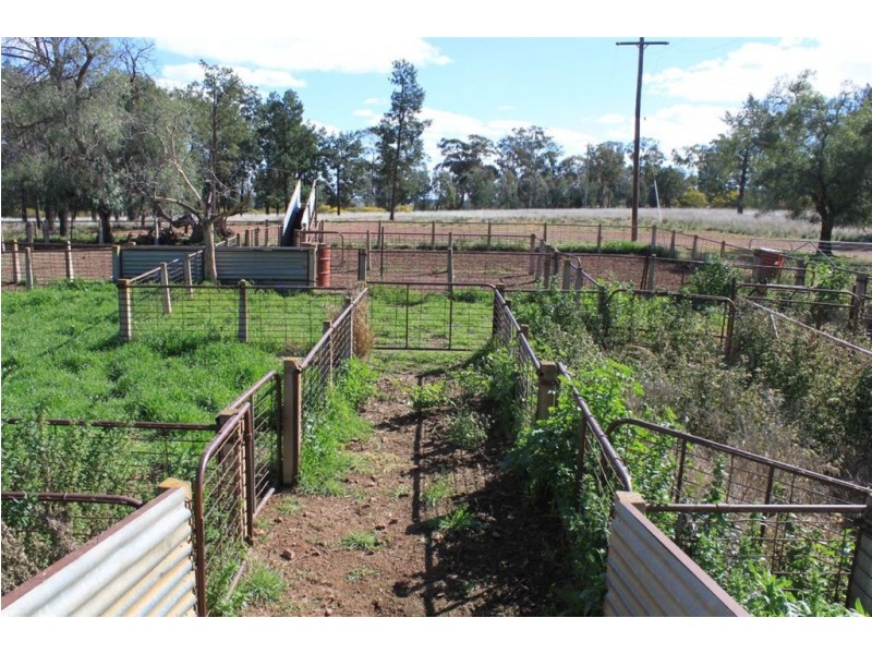 1190 Dullah Road, Coolamon NSW 2701