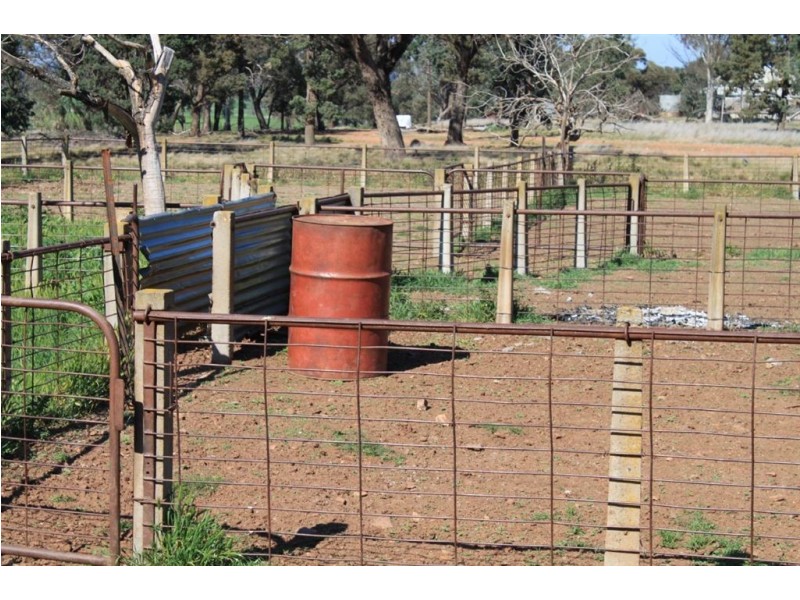 1190 Dullah Road, Coolamon NSW 2701