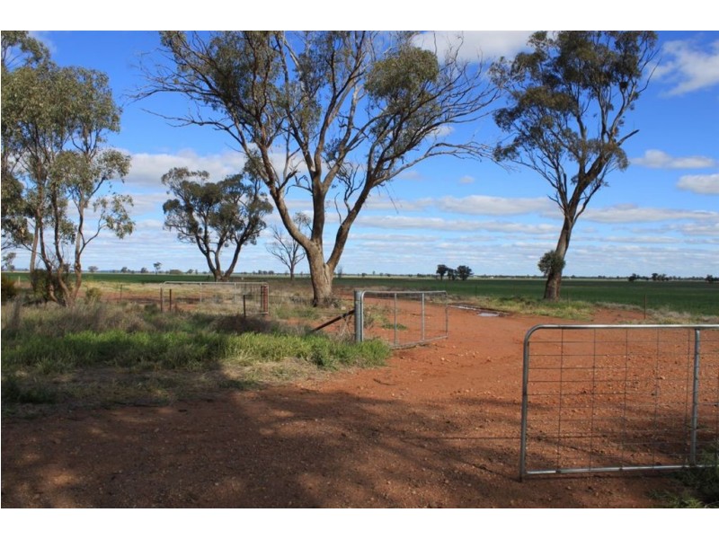 1190 Dullah Road, Coolamon NSW 2701