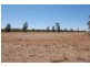 147 Sturt Highway, Galore NSW 2650