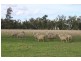 147 Sturt Highway, Galore NSW 2650