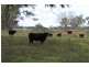 147 Sturt Highway, Galore NSW 2650