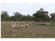 147 Sturt Highway, Galore NSW 2650