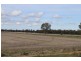 147 Sturt Highway, Galore NSW 2650