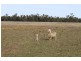 147 Sturt Highway, Galore NSW 2650