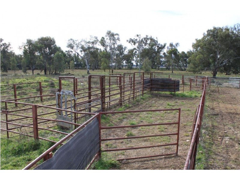 147 Sturt Highway, Galore NSW 2650