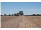 138 Sturt Highway, Galore NSW 2650