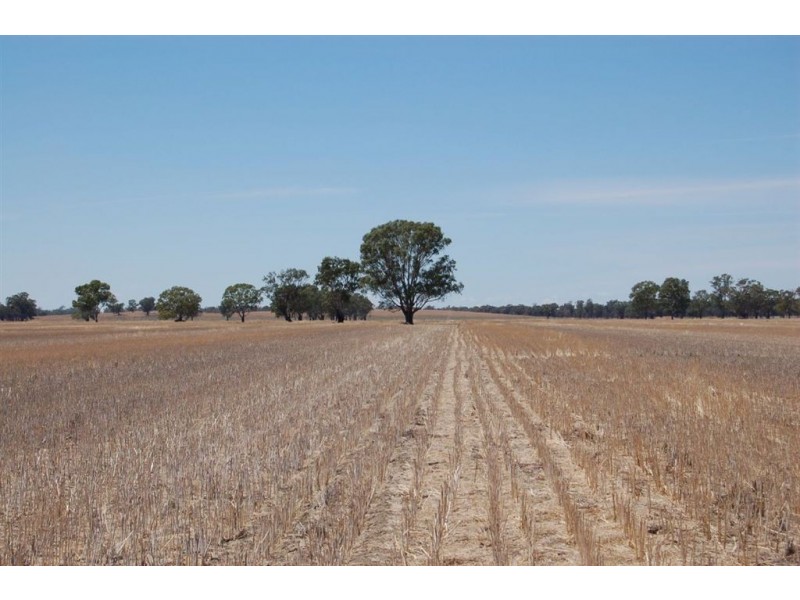 138 Sturt Highway, Galore NSW 2650