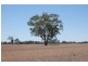 138 Sturt Highway, Galore NSW 2650
