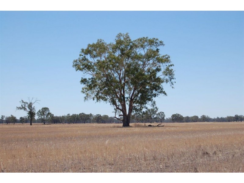 138 Sturt Highway, Galore NSW 2650