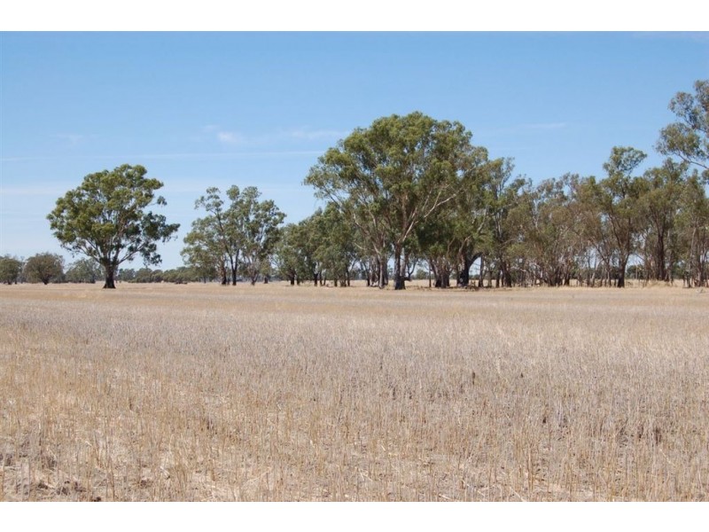138 Sturt Highway, Galore NSW 2650