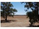 138 Sturt Highway, Galore NSW 2650