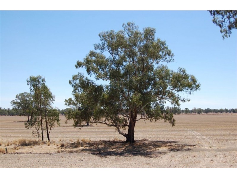 138 Sturt Highway, Galore NSW 2650