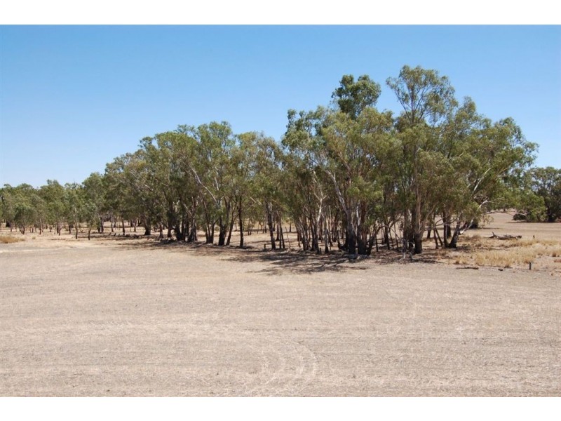 138 Sturt Highway, Galore NSW 2650