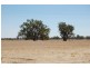 138 Sturt Highway, Galore NSW 2650
