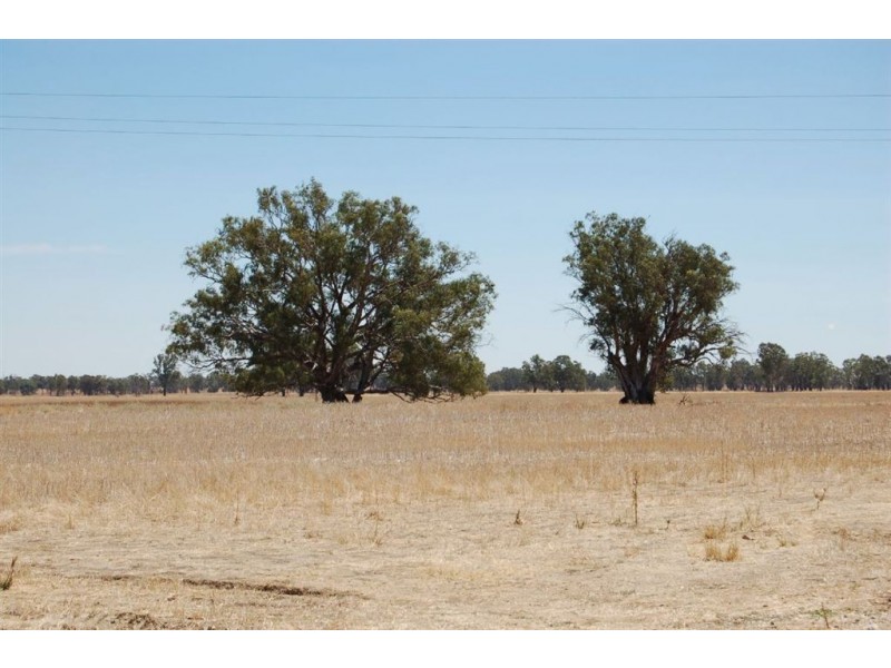 138 Sturt Highway, Galore NSW 2650