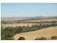 51 Wirrilla  Road, Jugiong NSW 2726