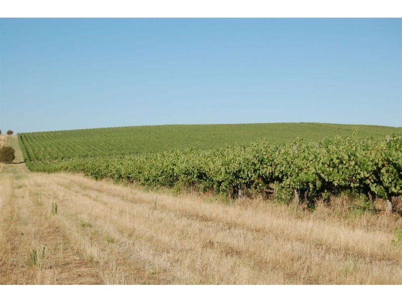 51 Wirrilla  Road, Jugiong NSW 2726